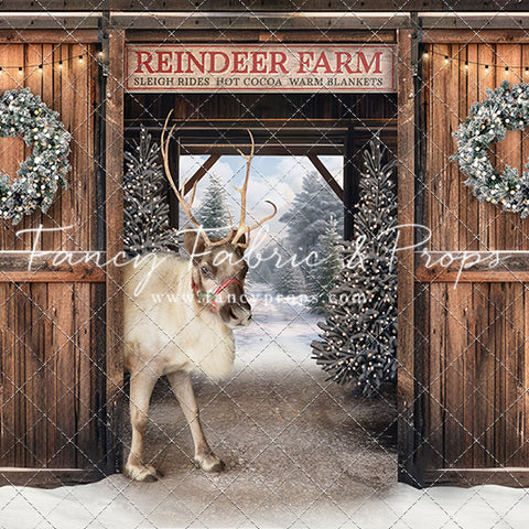 Snowy Mountain Reindeer Farm - With Reindeer