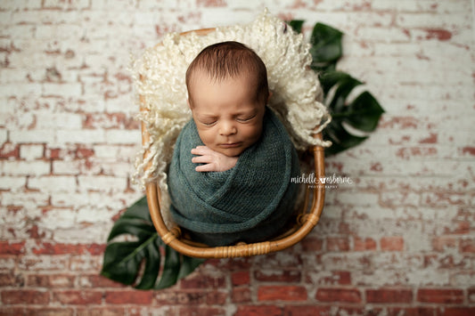 St Louis Brick Wall - Petite