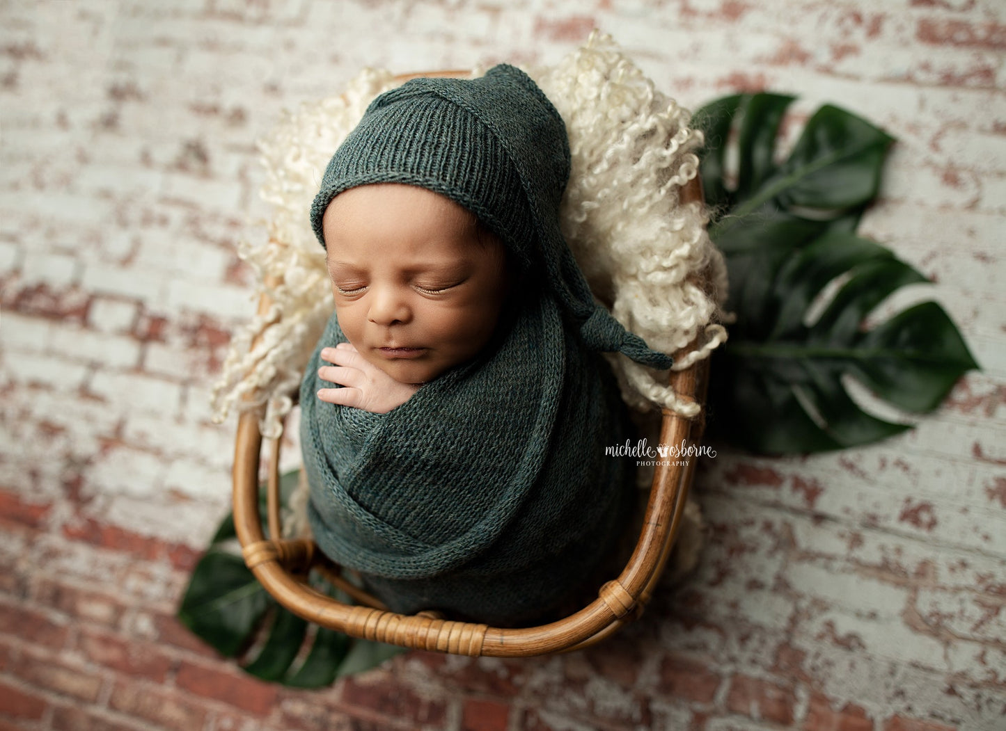 St Louis Brick Wall - Petite