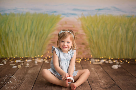 Beachfront Boardwalk
