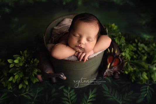 Lush Forest - Petite