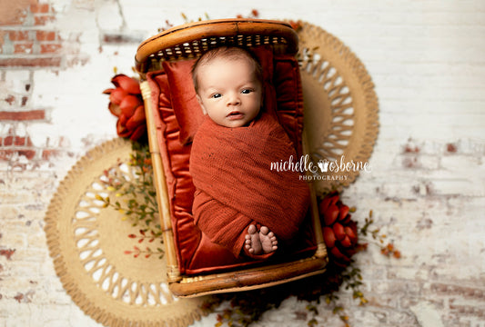 Atlanta Brick Wall - Petite