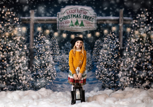Evening Snowy Tree Farm Entrance