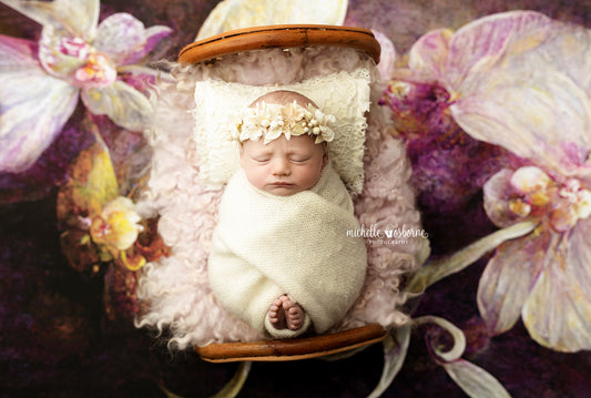 Original Orchid - Petite