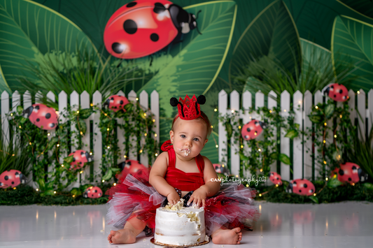 Little Bug Big World