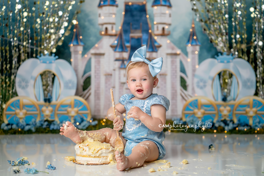 A Dream Is A Wish The Heart Makes