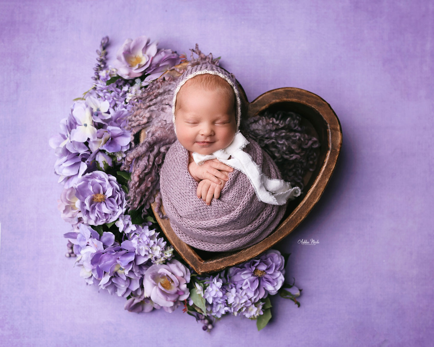Enchanting Lavender - Petite