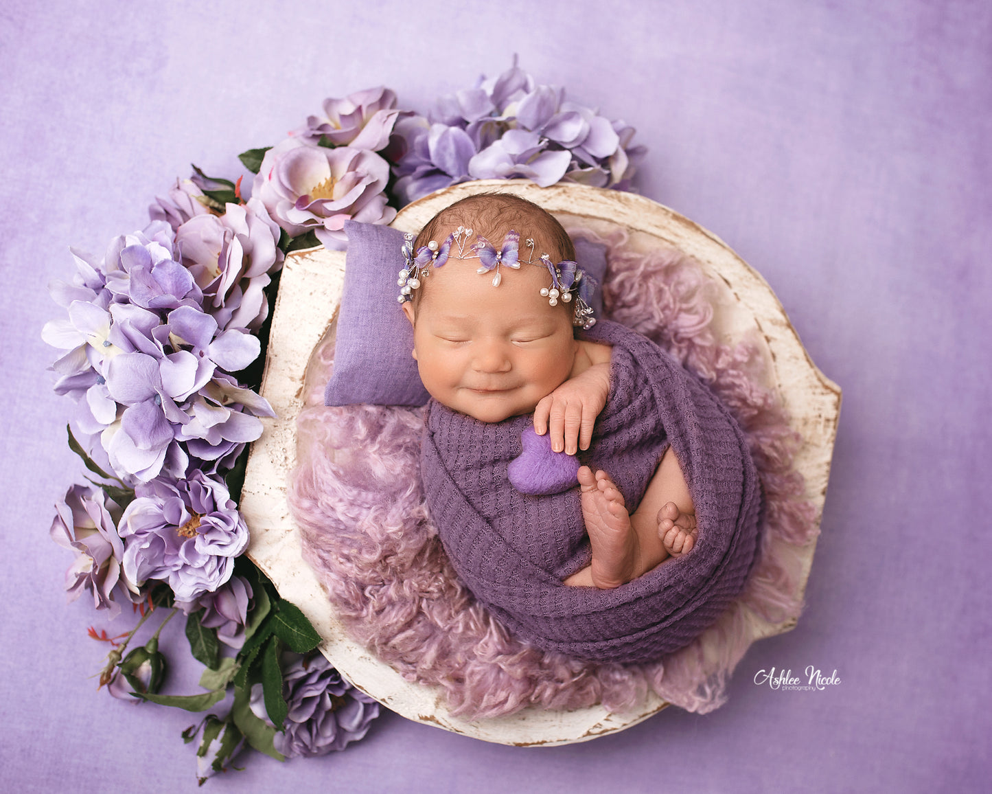 Enchanting Lavender - Petite