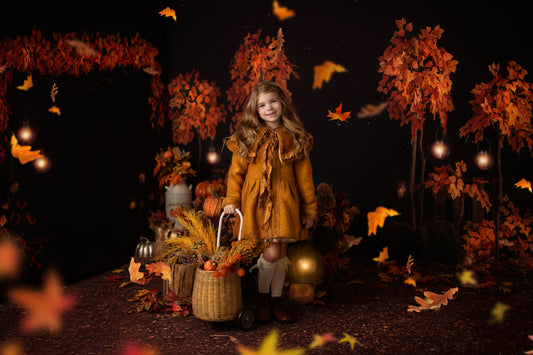 Fall Evening Park Mini Room