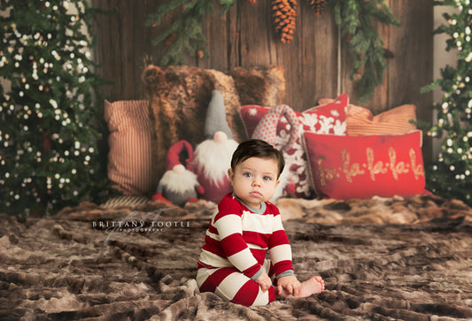 Gnome For The Holidays