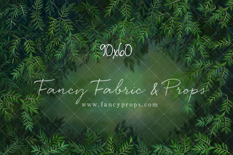 Lush Forest
