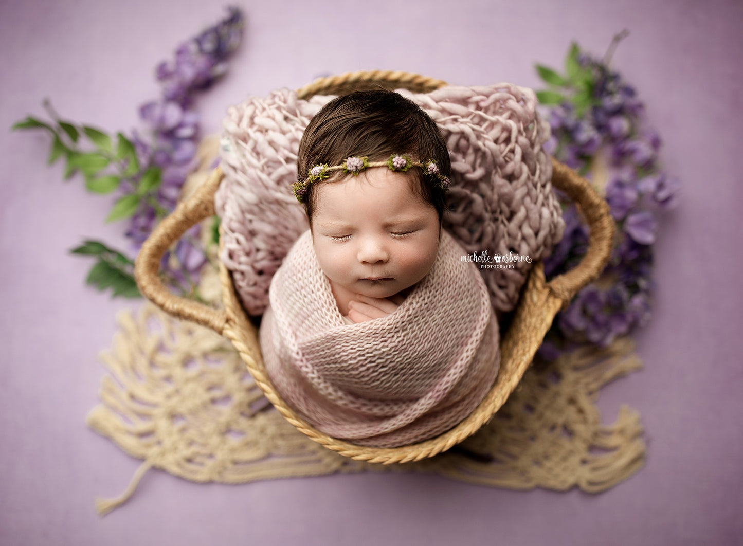 Enchanting Lavender - Petite