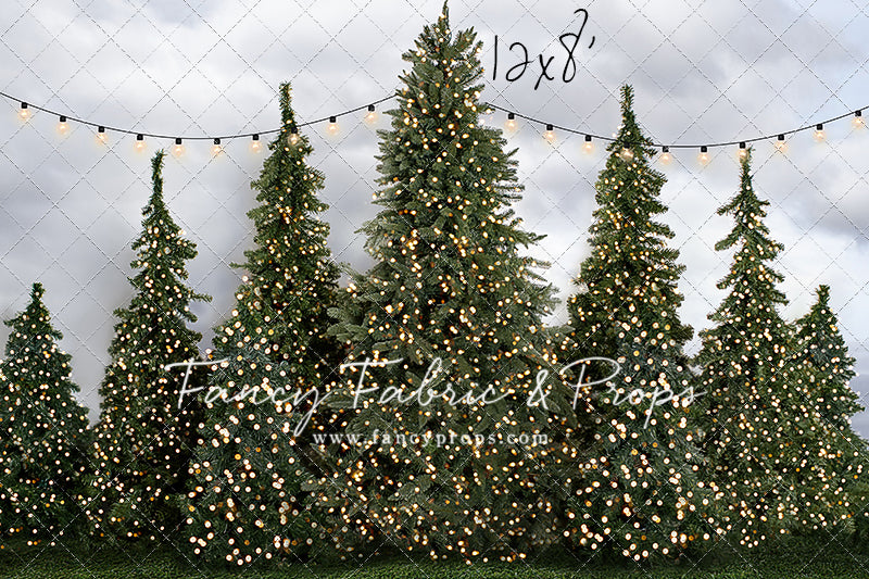 Tree Farm Traditions