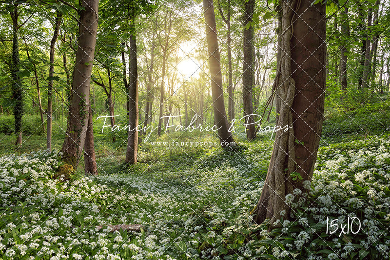 Flowering Forest White Meadow