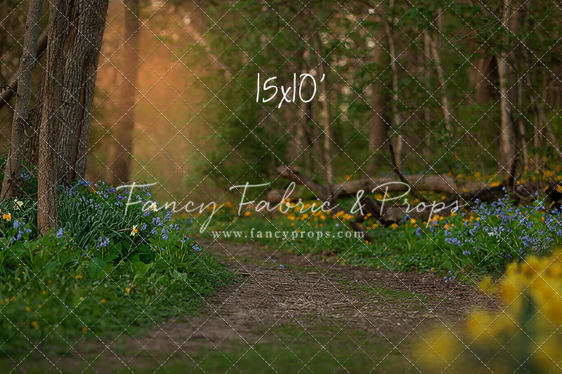 Spring Bluebell Path