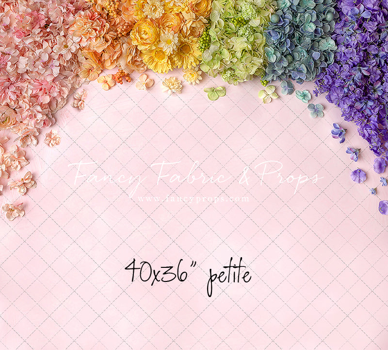 Pastel Rainbow - Petite