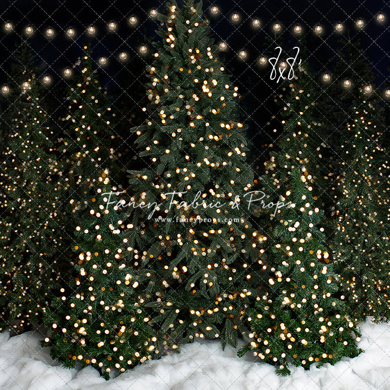 Snowy Evening At The Tree Farm