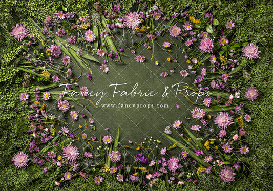 Chrysanthemum Blooms