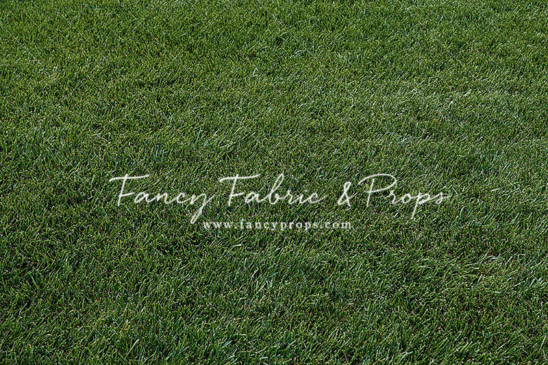 Cut And Carry Tree Farm Room