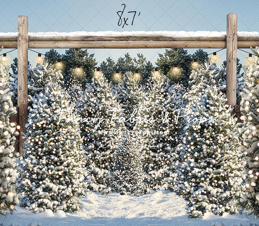 Winter Cut & Carry Tree Farm