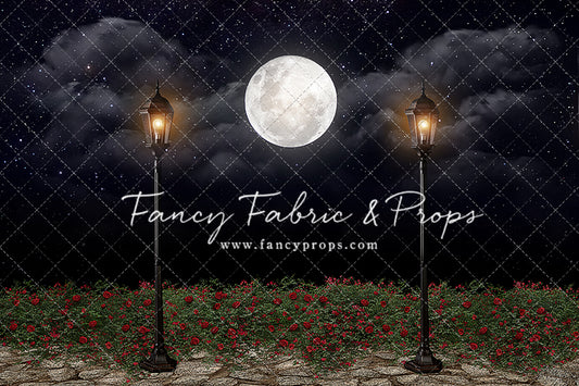 Romantic Moonlit Stroll