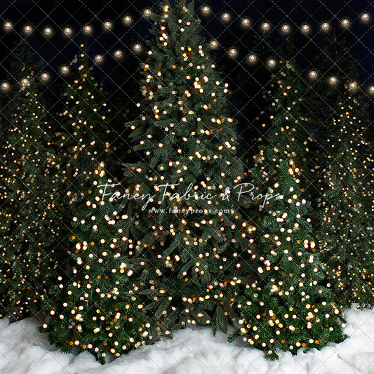 Snowy Christmas At The Barn 2pc Mini Room