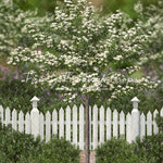 Spring Garden Gate