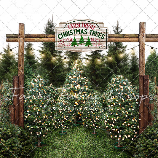 Farm Fresh Christmas Trees – Fancy Fabric & Props