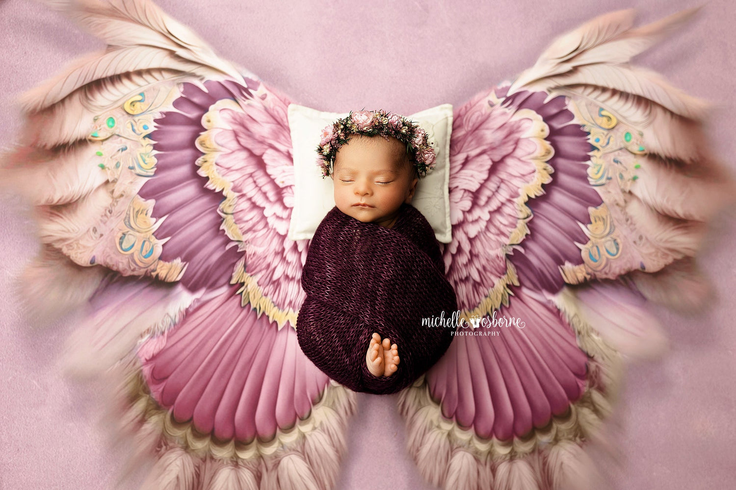 Petite Wing Collection