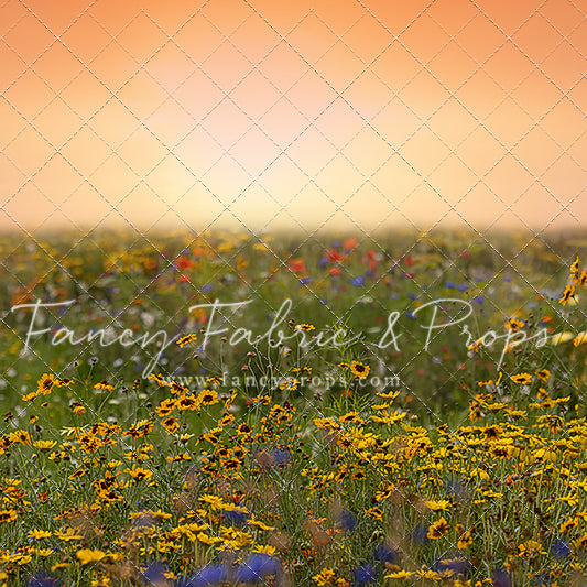 Outdoor Realistic Scenes