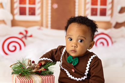 Pretty Peppermint Gingerbread House