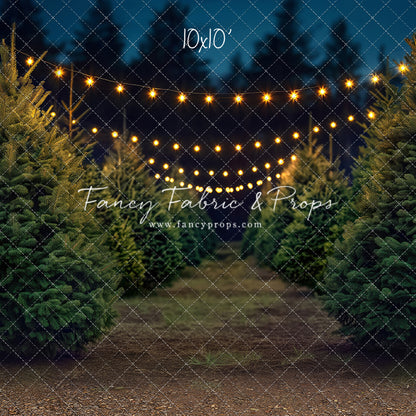 Pine Ridge Farm Path