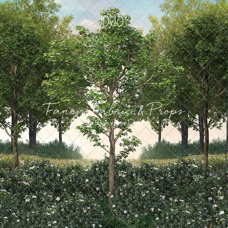 Spring Morning Meadow