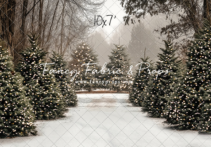 Country Pines Trail with Sweep Option