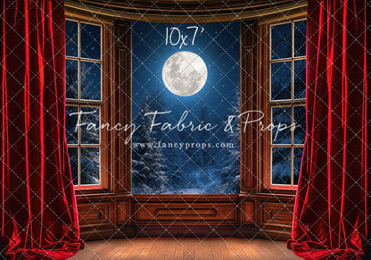 Midnight Christmas View