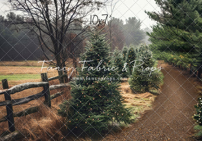 Rustic Tree Farm Trail