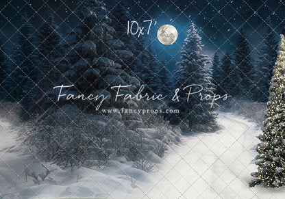 Santa Claus Candy Shop Forest