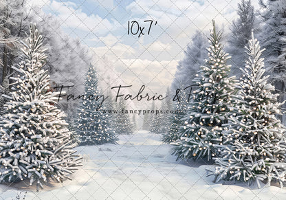 Snowy Tree Farm Trail - Room