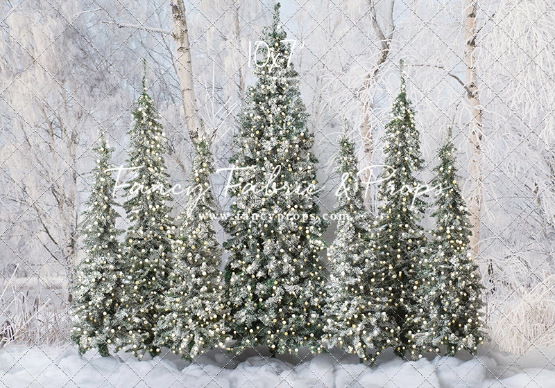 Winter Christmas Barn Forest