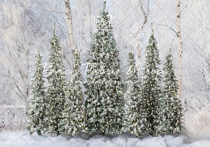 Winter Christmas Barn Forest