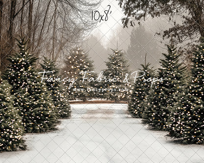 Country Pines Trail with Sweep Option