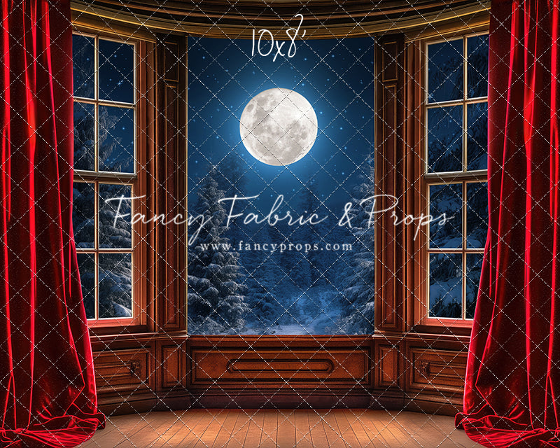 Midnight Christmas View