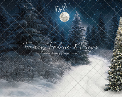 Santa Claus Candy Shop Forest