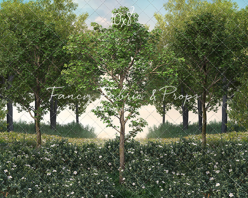 Spring Morning Meadow