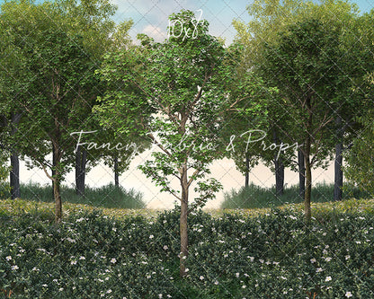 Spring Morning Meadow