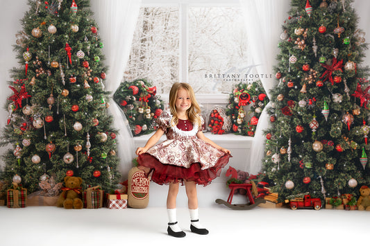 RTS Christmas Window - 12x8' Wrinkle-Free Fabric - Faded/Banding - 60% Off