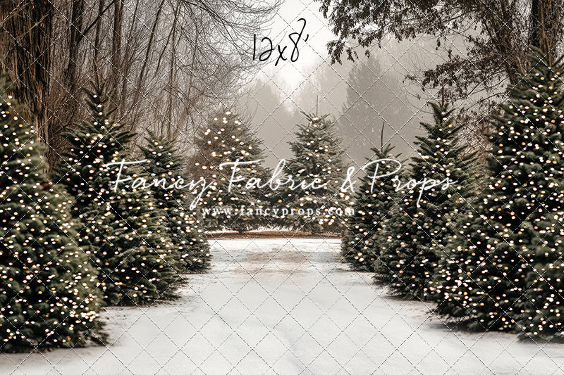 Country Pines Trail with Sweep Option