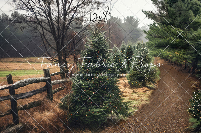 Rustic Tree Farm Trail