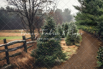 Rustic Tree Farm Trail