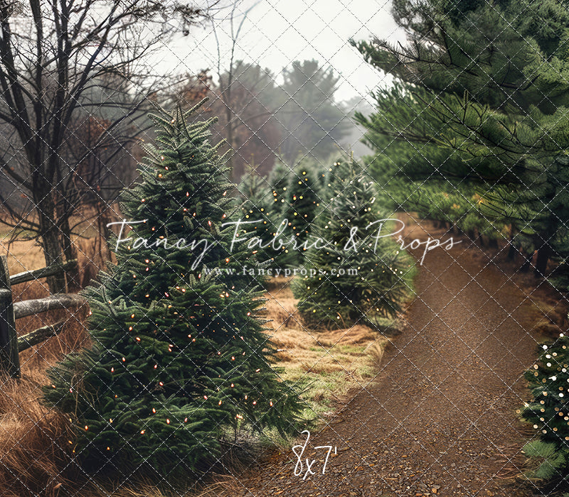 Rustic Country Tree Farm - Room